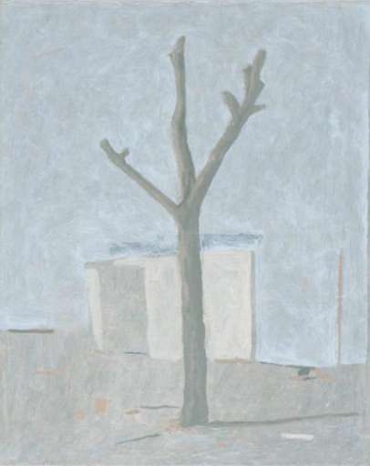 fino al 10.II.2006 | Pietro Capogrosso – La luce negli occhi | Foggia, Paolo Erbetta