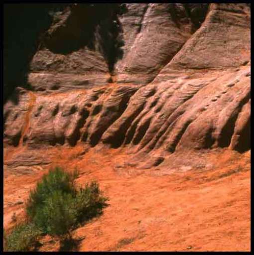 Slinky, uno spazio per la fotografia sulla terraferma di Venezia Slinky, uno spazio per la fotografia sulla terraferma di Venezia