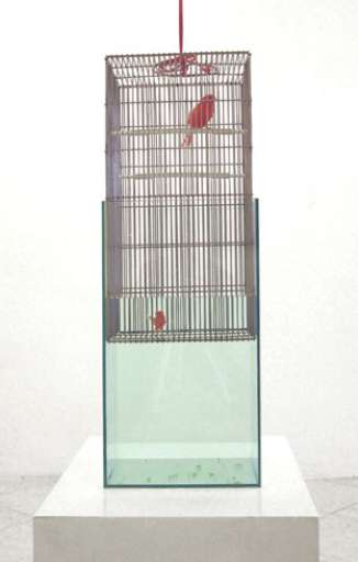 fino al 11.II.2006 | Rocco Dubbini | Padova, Galleria Estro fino al 11.II.2006 | Rocco Dubbini | Padova, Galleria Estro