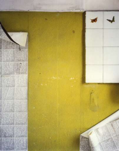 fino al 19.II.2006 | Alessandro Vicario | Pesaro, Centro Arti Visive Pescheria