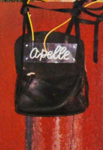 fino al 28.II.2006 | Romano Abate – Apelle figlio di Apollo | Treviso, Spazio Lazzari