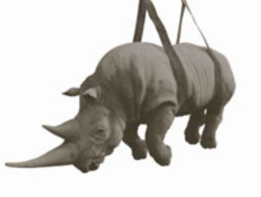 A Venezia arte+libri al nuovo Centro Internazionale d’Arte e Cultura