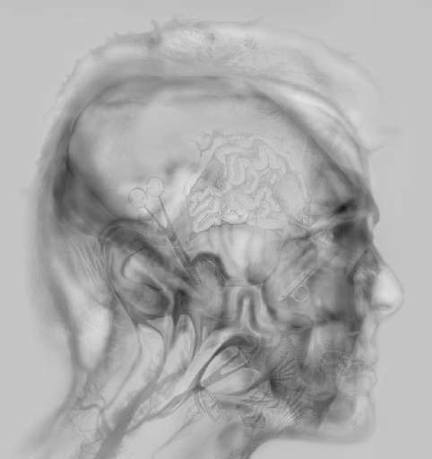 fino al 25.II.2006 | Donato Piccolo – Wörter & Besitzt | Roma, Studio Stefania Miscetti fino al 25.II.2006 | Donato Piccolo – Wörter & Besitzt | Roma, Studio Stefania Miscetti