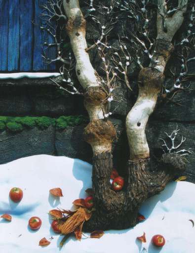 Il senso di Torino per la neve Il senso di Torino per la neve