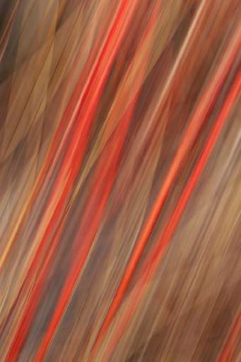 fino al 25.III.2006 | Manuel Presti – Luci e forme | Roma, Galleria Luxardo fino al 25.III.2006 | Manuel Presti – Luci e forme | Roma, Galleria Luxardo