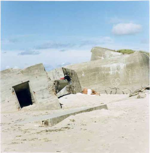 fino a 3.IV.2006 | Guido Guidi – Bunker | Milano, Galleria Alessandro De March