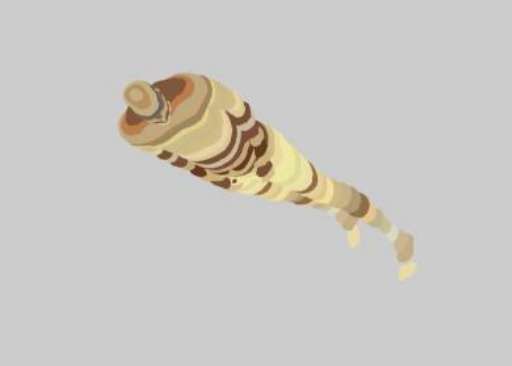 fino al 22.IV.2006 | Superneen | Milano, Galleria Pack fino al 22.IV.2006 | Superneen | Milano, Galleria Pack