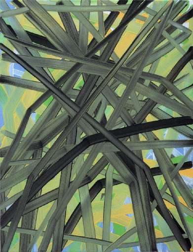 fino al 18.IV.2006 | Sophia Schama | Milano , Studio Cannaviello fino al 18.IV.2006 | Sophia Schama | Milano , Studio Cannaviello