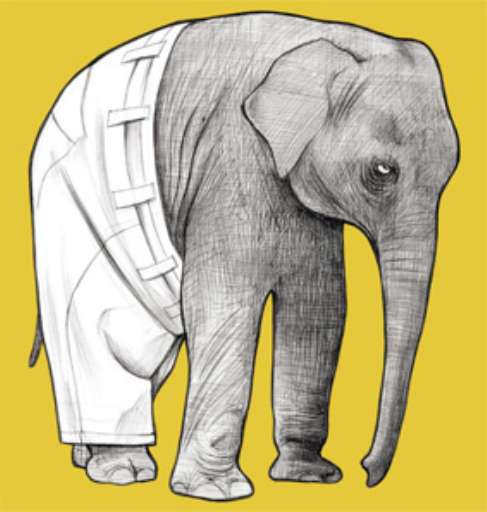 fino al 30.IV.2006 | Francesca Ghermandi | Modena, D406 Arte contemporanea fino al 30.IV.2006 | Francesca Ghermandi | Modena, D406 Arte contemporanea