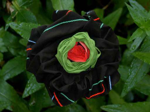 fino al 16.VI.2006 | Malgorzata Markiewicz – Flowers | Roma, Studio Stefania Miscetti