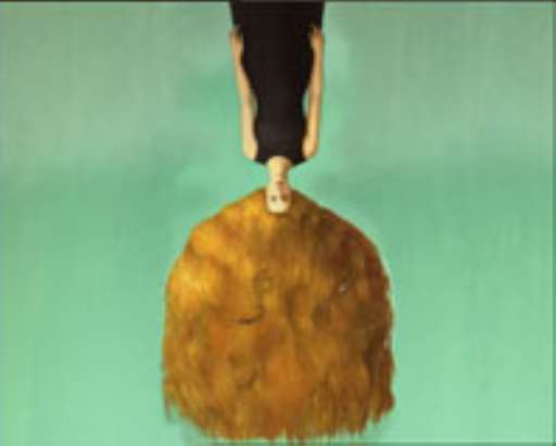 Paola Gandolfi videoartista. Libro + DVD d’animazione sulla svolta “virtuale”