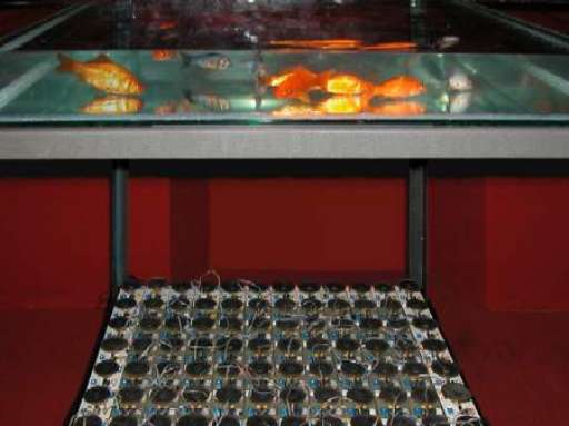 Al Teatro di Offida due appuntamenti con performance sonore. E non solo… Al Teatro di Offida due appuntamenti con performance sonore. E non solo…