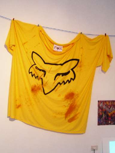 fino al 1.VII.2006 | Juan Céspedes | Torino, Galleria Maze