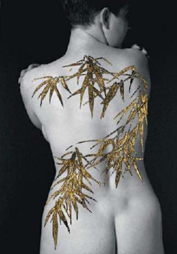 fino al 16.VI.2006 | Plinio Martelli – Golden Tattoo  | Torino, 41 artecontemporanea
