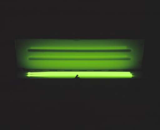 fino al 18.VI.2006 | Roberta Silva – Cover | Milano, Francesca Kaufmann