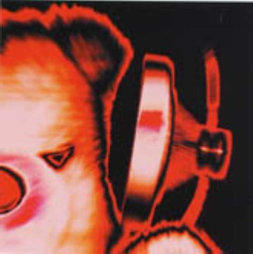 Un po’ atelier, un po’ galleria. Il self service di tre giovani artisti padovani