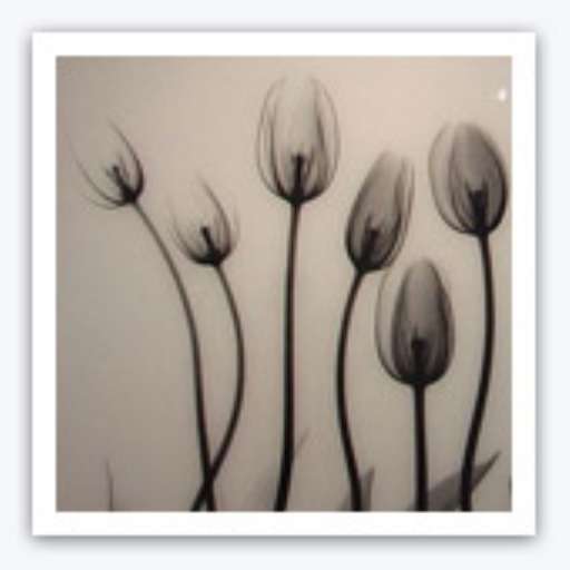 fino al 30.VI.2006 | Flowers | Bologna, Galleria Forni