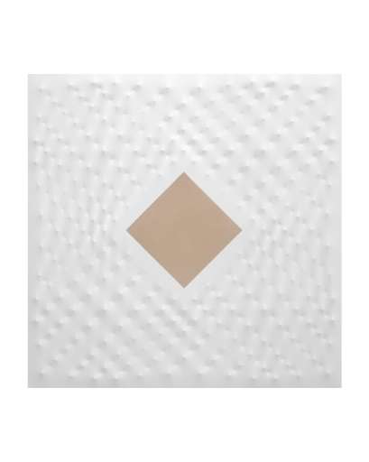 fino al 24.VI.2006 | Enrico Castellani | Napoli, Lia Rumma fino al 24.VI.2006 | Enrico Castellani | Napoli, Lia Rumma