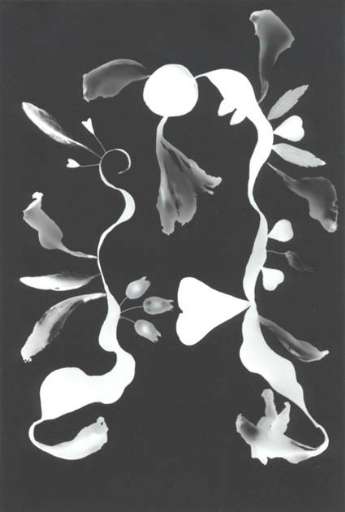 fino al 15.VII.2006 | Michaela M. Langenstein / Max Renkel | Roma, Galleria Ugo Ferranti fino al 15.VII.2006 | Michaela M. Langenstein / Max Renkel | Roma, Galleria Ugo Ferranti