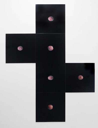 fino al 8.IX.2006 | Eric Wesley | Napoli, Galleria Fonti