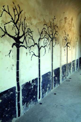 fino al 30.IV.2007 | Fresco Bosco | Padula (sa), Parco della Certosa fino al 30.IV.2007 | Fresco Bosco | Padula (sa), Parco della Certosa