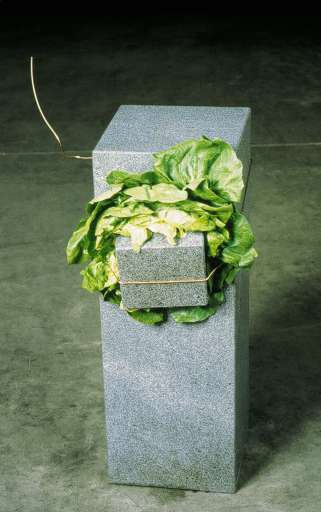 Dalle Langhe alla riviera. Con l’arte sulle tracce della Via del Sale