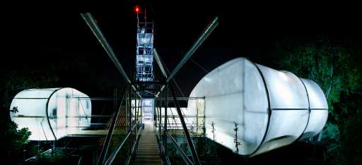 architettura_biennale 2006 | Biennale statistica