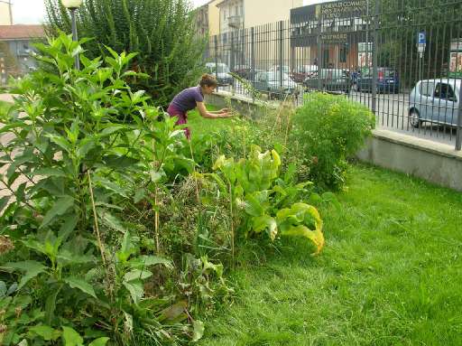 Artisti o giardinieri? A Moncalieri un giardino rivitalizzato by Caretto&Spagna Artisti o giardinieri? A Moncalieri un giardino rivitalizzato by Caretto&Spagna