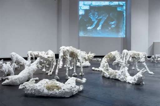 GAP, ovvero la giovane arte pugliese. In rassegna a Bari (con premio) GAP, ovvero la giovane arte pugliese. In rassegna a Bari (con premio)