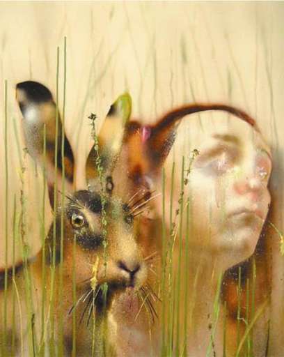 fino all’11.XI.2006 | Maja Vukoje | Milano, Studio d’Arte Cannaviello fino all’11.XI.2006 | Maja Vukoje | Milano, Studio d’Arte Cannaviello