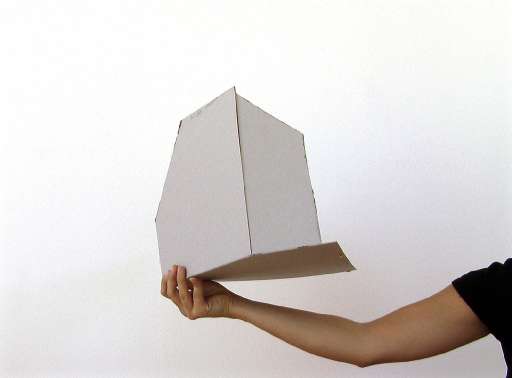 Premio Epson – Fondazione Ratti, vince Alice Cattaneo