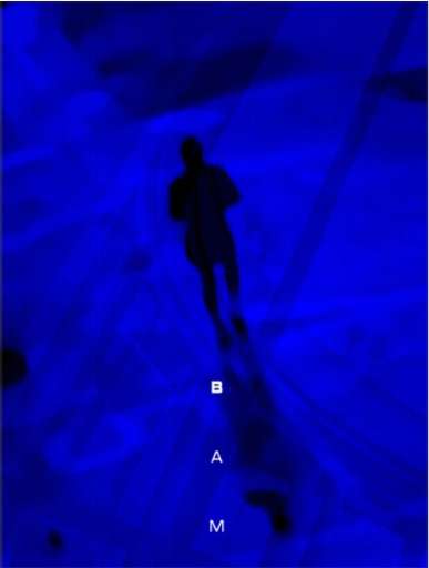 Apre a Verbania la seconda edizione della Biennale del Piemonte