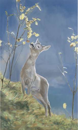 fino al 30.XI.2006 | Gian Marco Montesano | Modena, Galleria Emilio Mazzoli