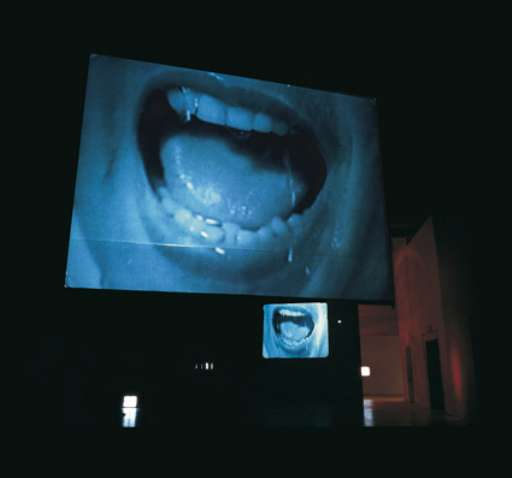 fino al 21.I.2007 | Douglas Gordon | Rovereto (tn), Mart