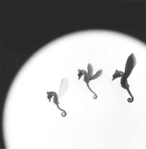 Nuova sede per la libreria milanese MiCamera, che diventa anche spazio espositivo Nuova sede per la libreria milanese MiCamera, che diventa anche spazio espositivo