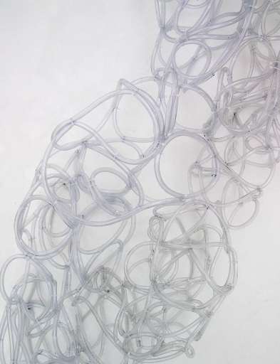 fino al 25.XI.2006 | Lucia Warck Meister | Roma, Z2O fino al 25.XI.2006 | Lucia Warck Meister | Roma, Z2O