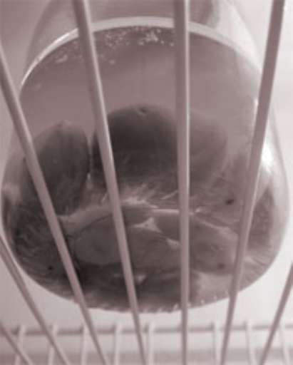 fino al 26.XI.2006 | Cronosismi | Potenza, AmnesiacArts fino al 26.XI.2006 | Cronosismi | Potenza, AmnesiacArts