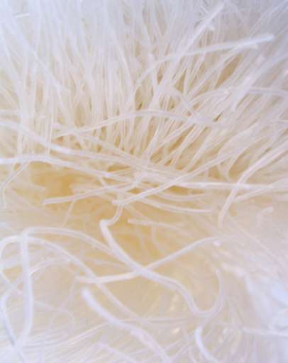 Da Torino, Daniela Bozzetto vince il Premio Pagine Bianche D’Autore per il Piemonte Da Torino, Daniela Bozzetto vince il Premio Pagine Bianche D’Autore per il Piemonte