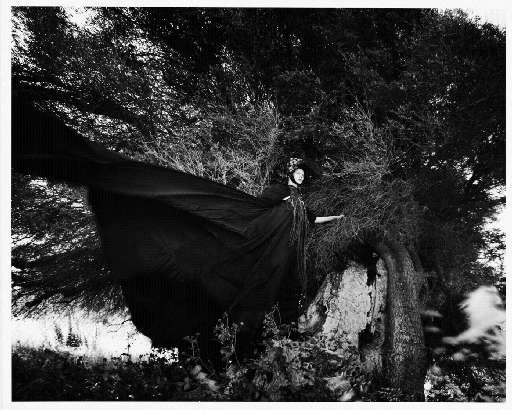 fino al 21.I.2007 | Antonio Marras | Torino, Fondazione Sandretto fino al 21.I.2007 | Antonio Marras | Torino, Fondazione Sandretto