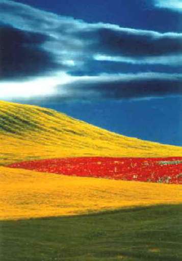 Umbria, Franco Fontana inaugura nuovi spazi per il contemporaneo a Montefalco