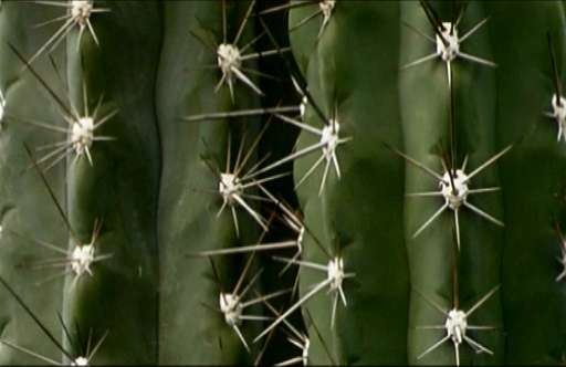 fino al 6.I.2007 | Lucia Uni | Milano, Galleria Pianissimo fino al 6.I.2007 | Lucia Uni | Milano, Galleria Pianissimo