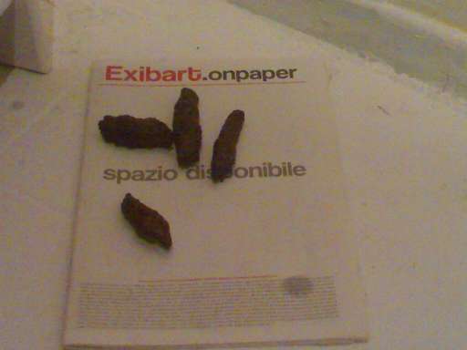 D’après Pietroniro. Saccardi alla prova con la cover di Exibart.onpaper