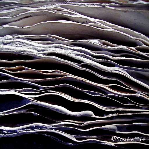 fino al 28.I.2007 | Yosuke Taki | Roma, Galleria Luxardo fino al 28.I.2007 | Yosuke Taki | Roma, Galleria Luxardo