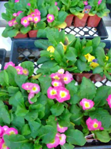 fino al 20.I.2007 | Timothy Tompkins | Verona, Studio la Città