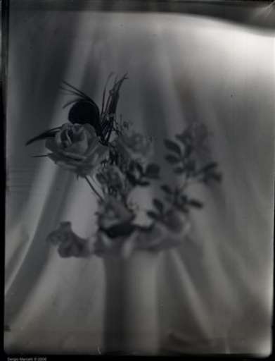 fino al 31.I.2007 | WinterTime | Ancona, Aeroporto fino al 31.I.2007 | WinterTime | Ancona, Aeroporto