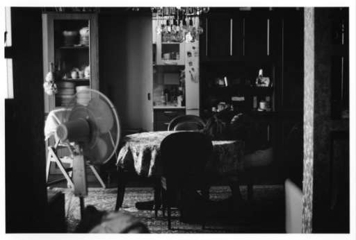 Max Mara Art Prize for Women, in Inghilterra espone la vincitrice Margaret Salmon