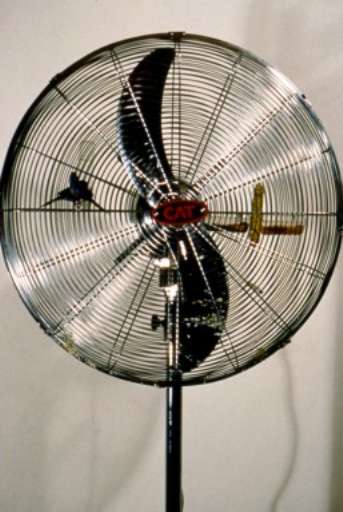 Ventilatore o gabbia? Proteste del pubblico di Artefiera per un’opera di Pantani-Surace