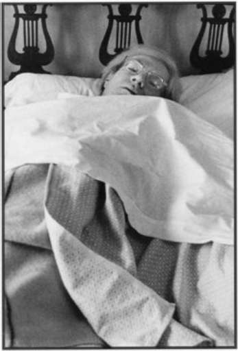 fino al 31.III.2007 | Dino Pedriali | Roma, Galleria Luxardo