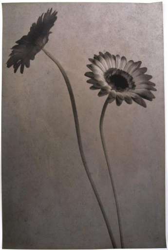 fino al 17.III.2007 | Sergio Zavattieri – Non esistono soluzioni intere positive all’equazione | Palermo, Zelle Arte Contemporanea