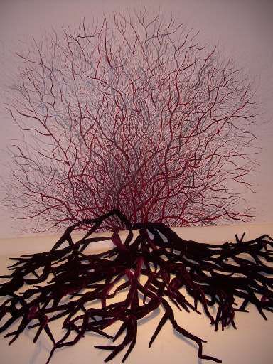 fino al 10.III.2007 | Elizabeth Aro / Giovanni Ozzola | Roma, Spazio Punctum fino al 10.III.2007 | Elizabeth Aro / Giovanni Ozzola | Roma, Spazio Punctum